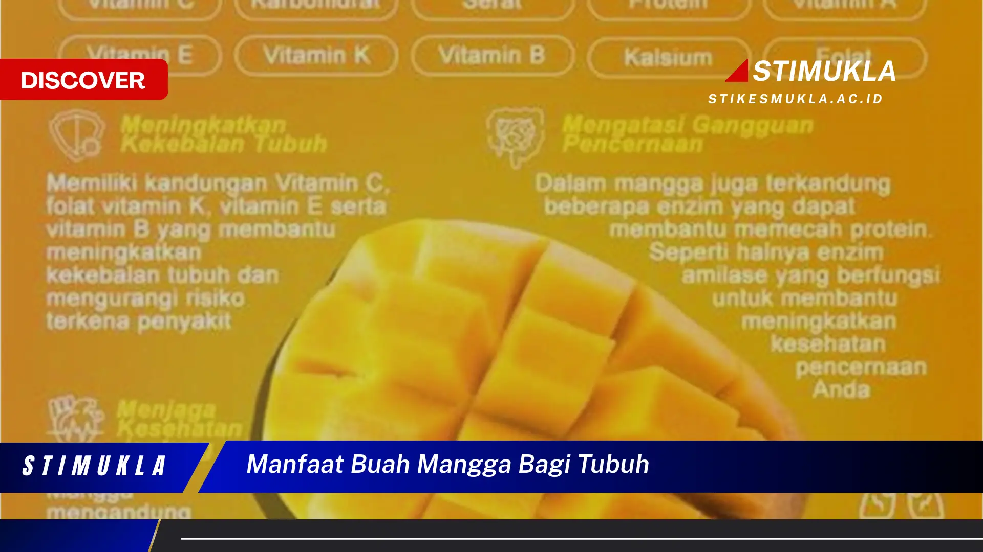 manfaat buah mangga bagi tubuh manfaat buah mangga bagi tubuh