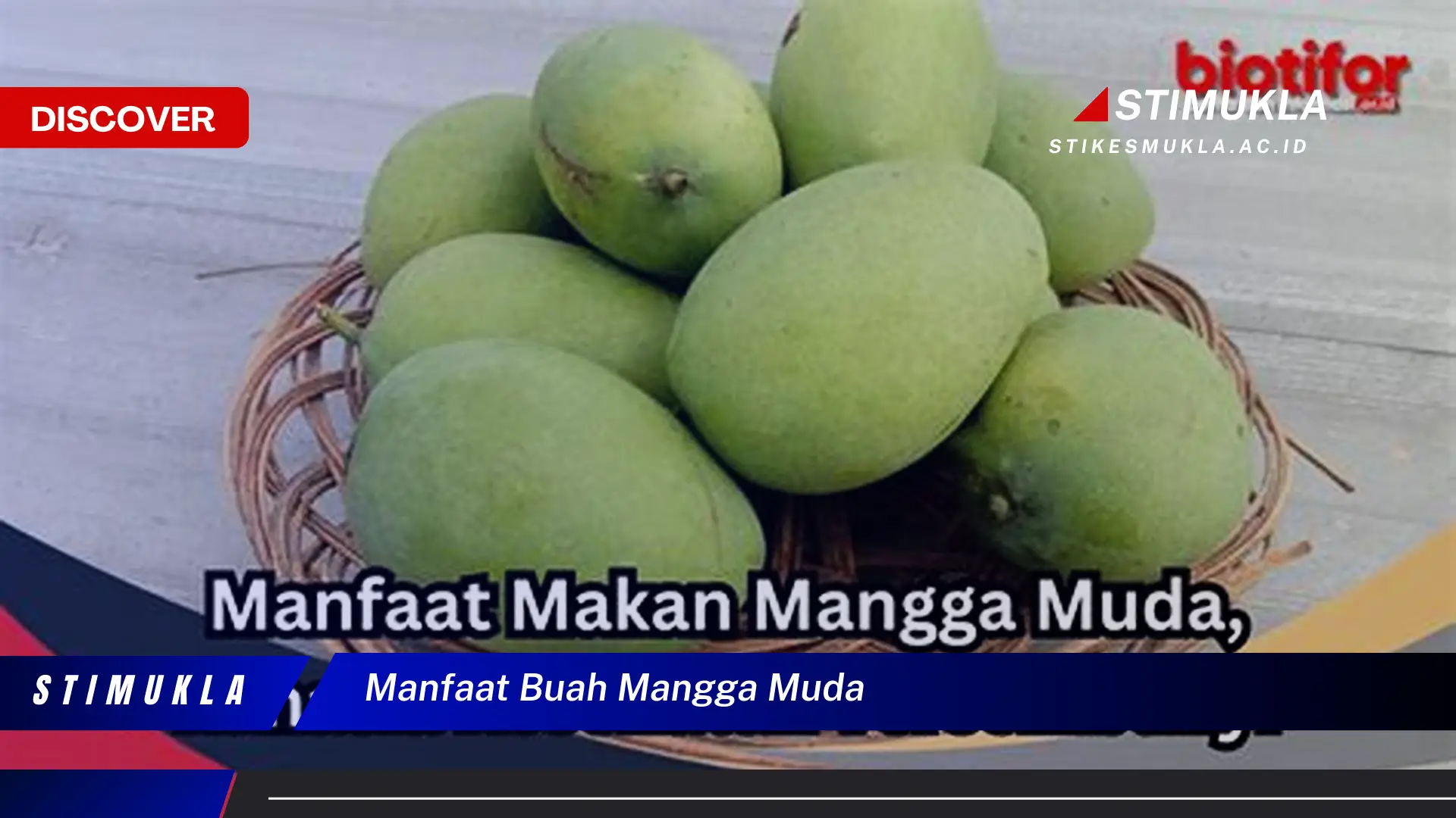 manfaat buah mangga muda