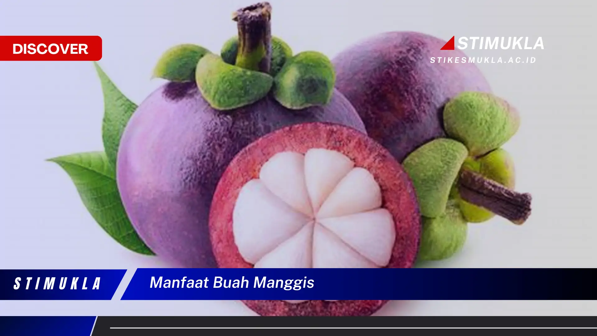 manfaat buah manggis