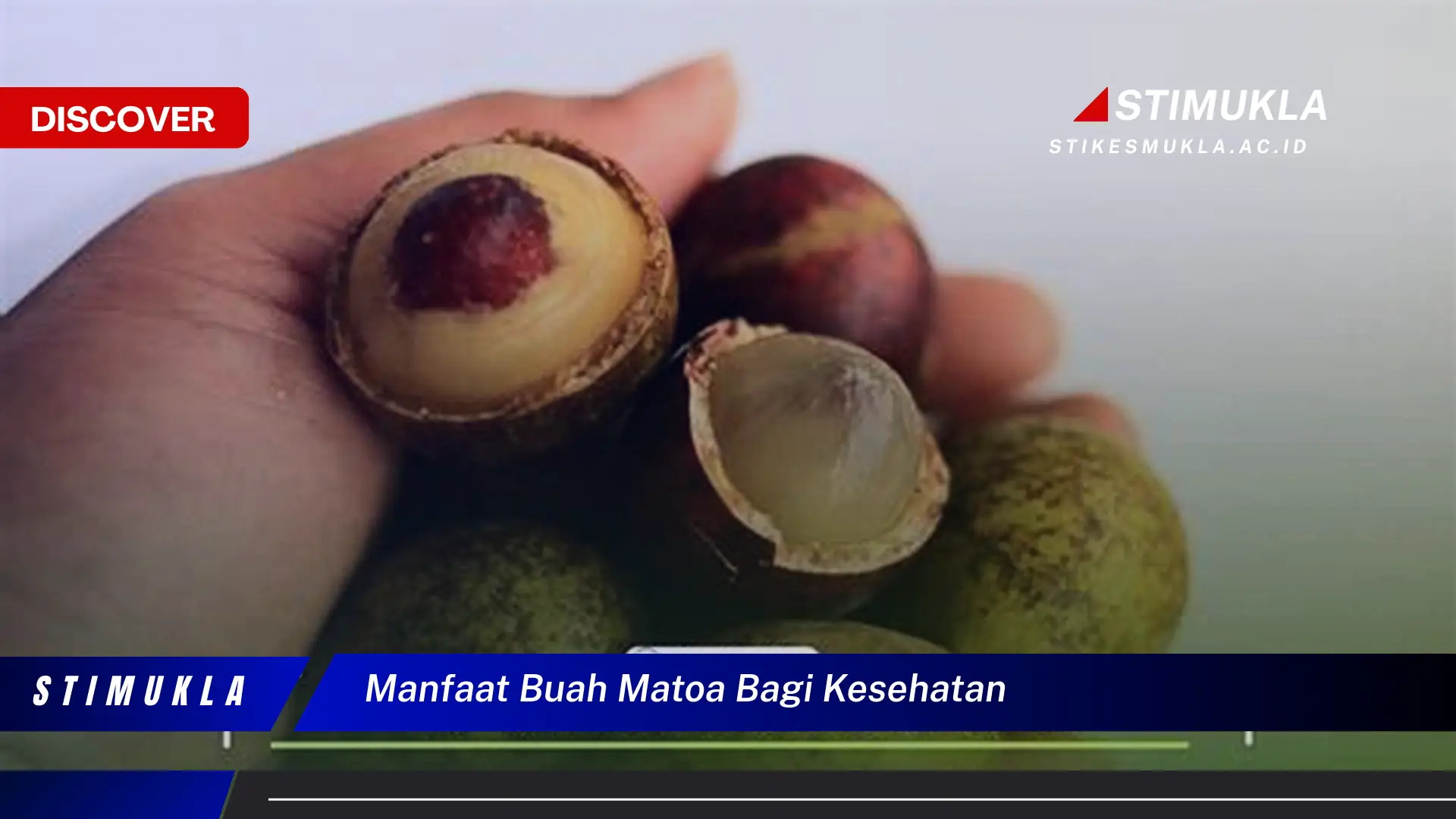 manfaat buah matoa bagi kesehatan