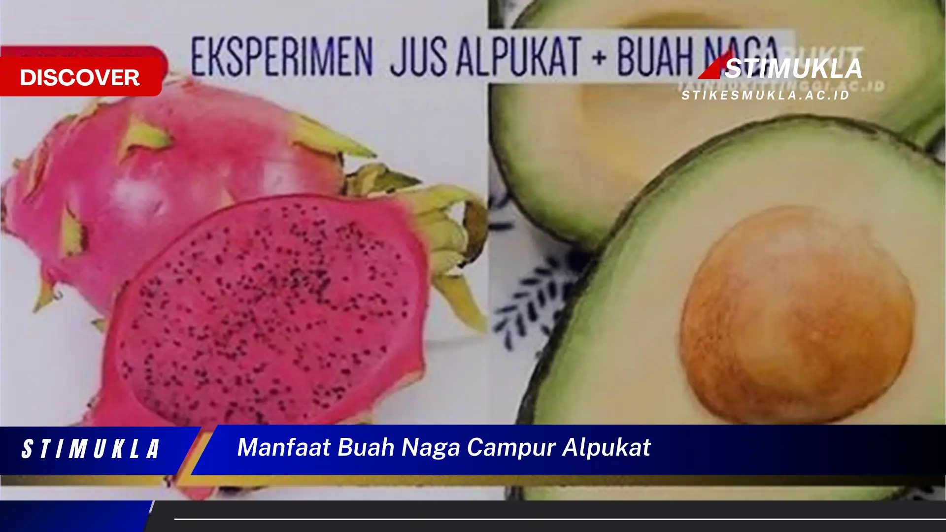 manfaat buah naga campur alpukat