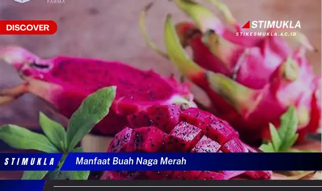 manfaat buah naga merah