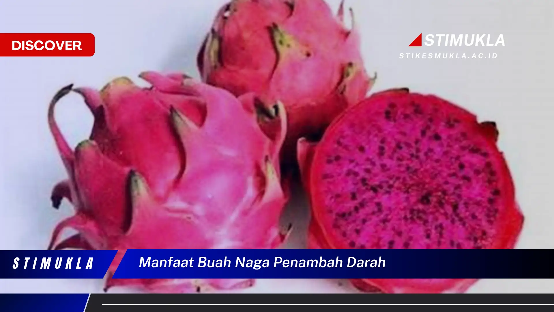 manfaat buah naga penambah darah
