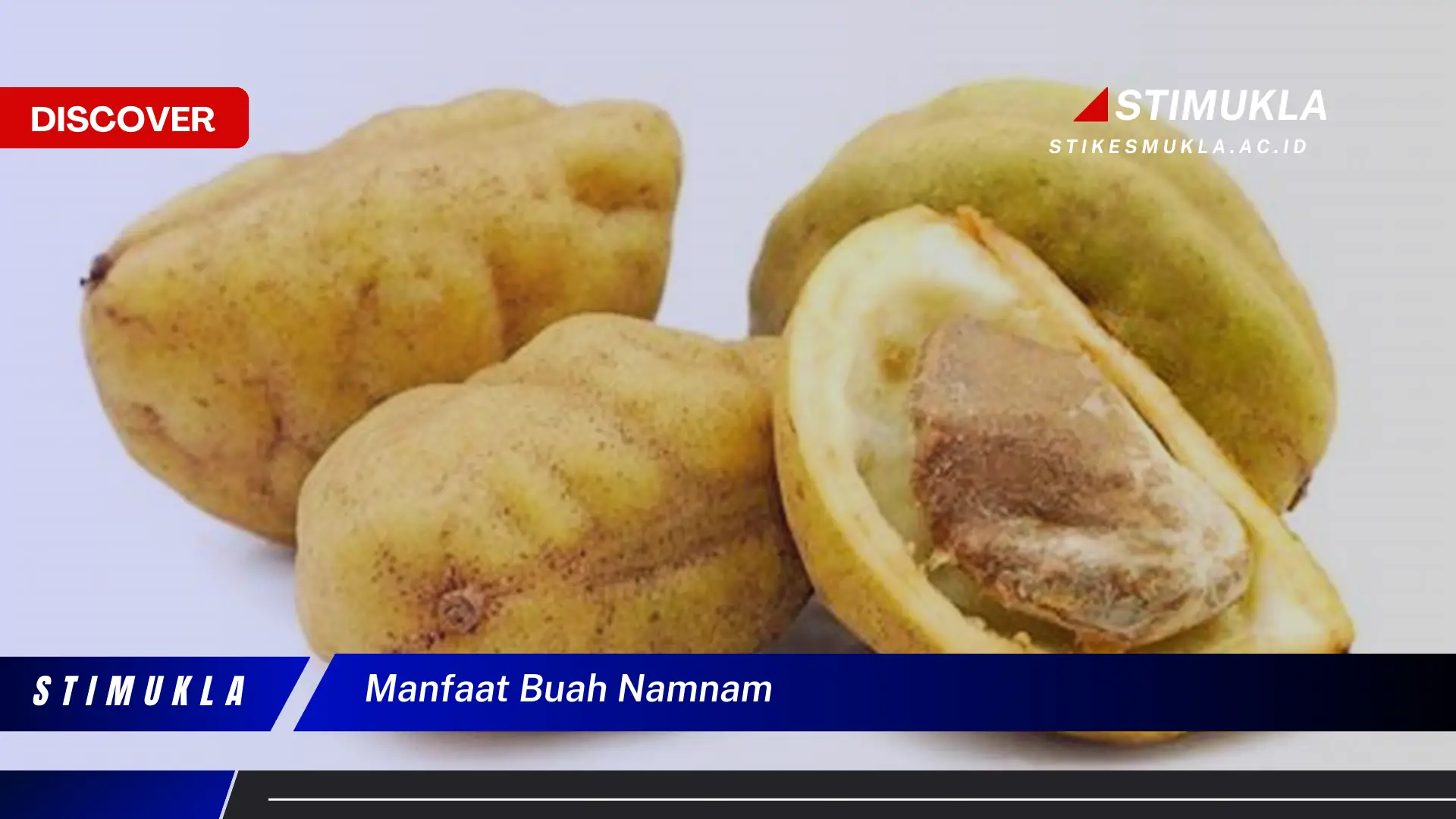 manfaat buah namnam