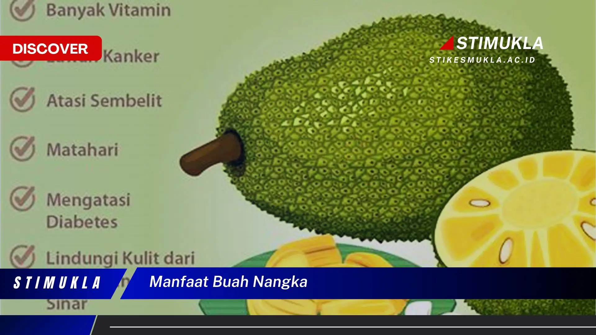 manfaat buah nangka manfaat buah nangka