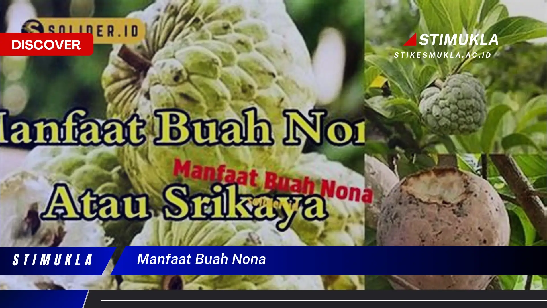 manfaat buah nona