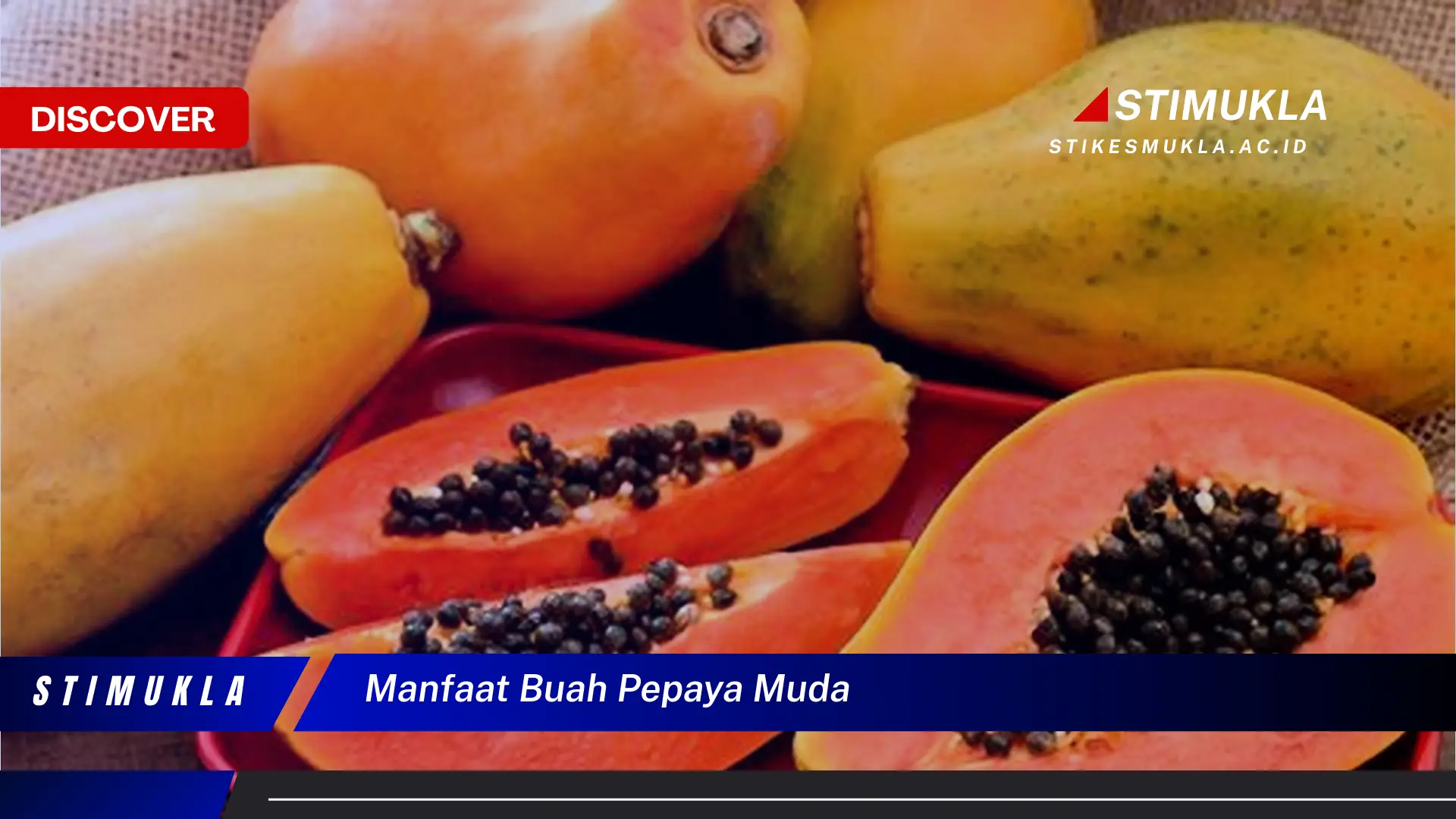 manfaat buah pepaya muda