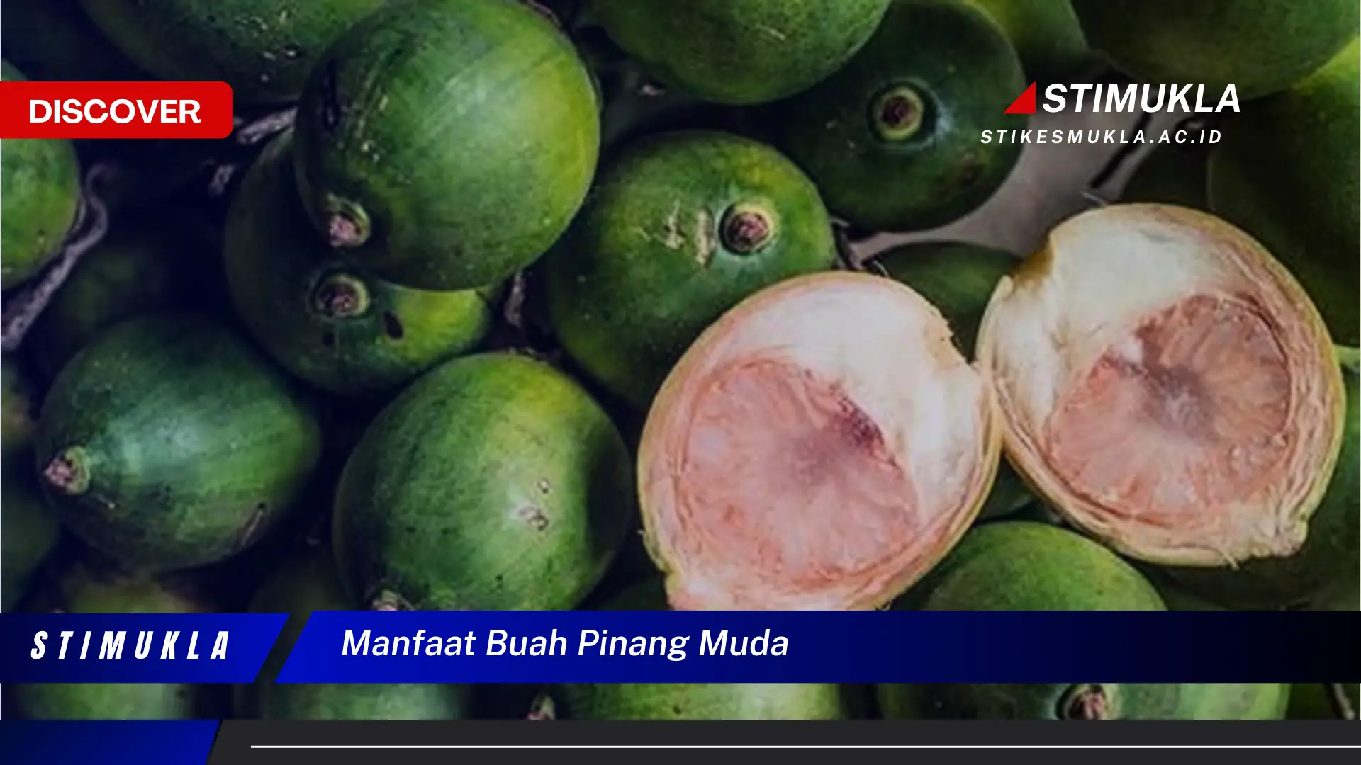 manfaat buah pinang muda