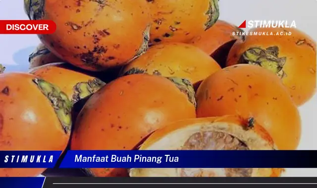 manfaat buah pinang tua