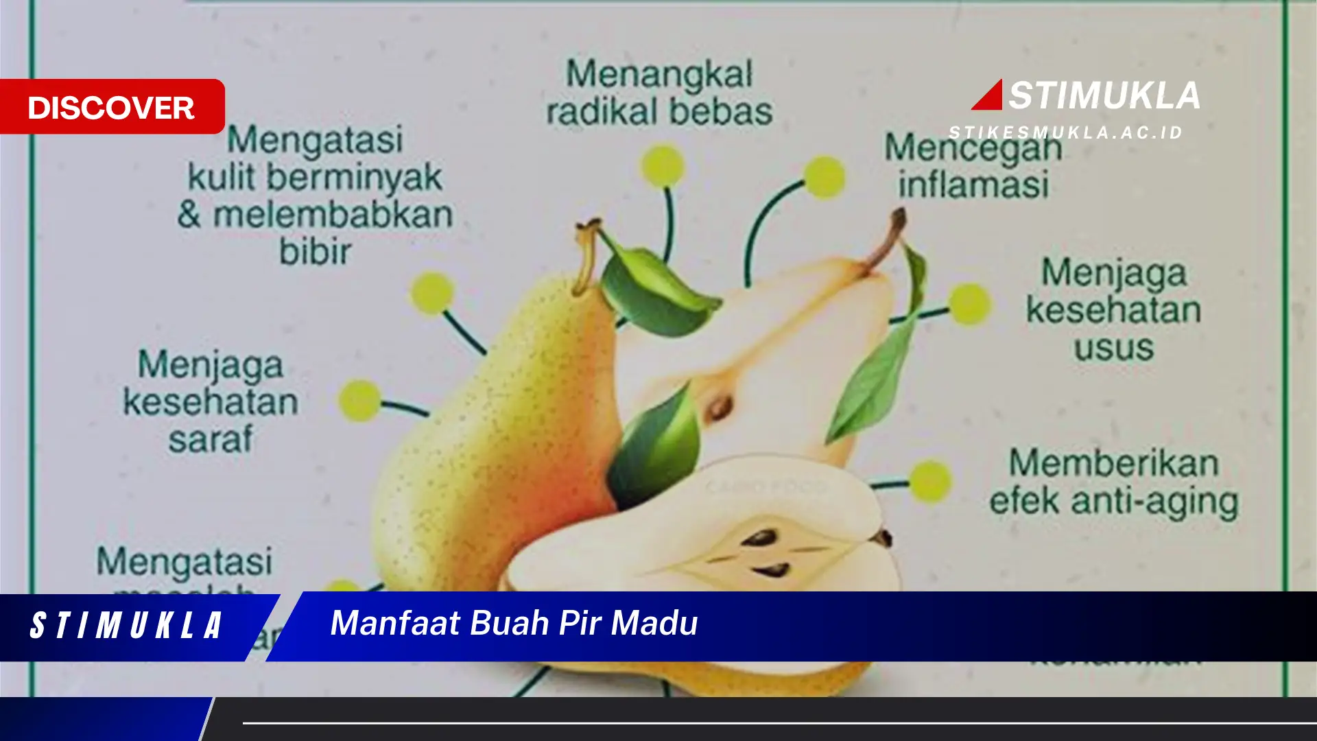 manfaat buah pir madu