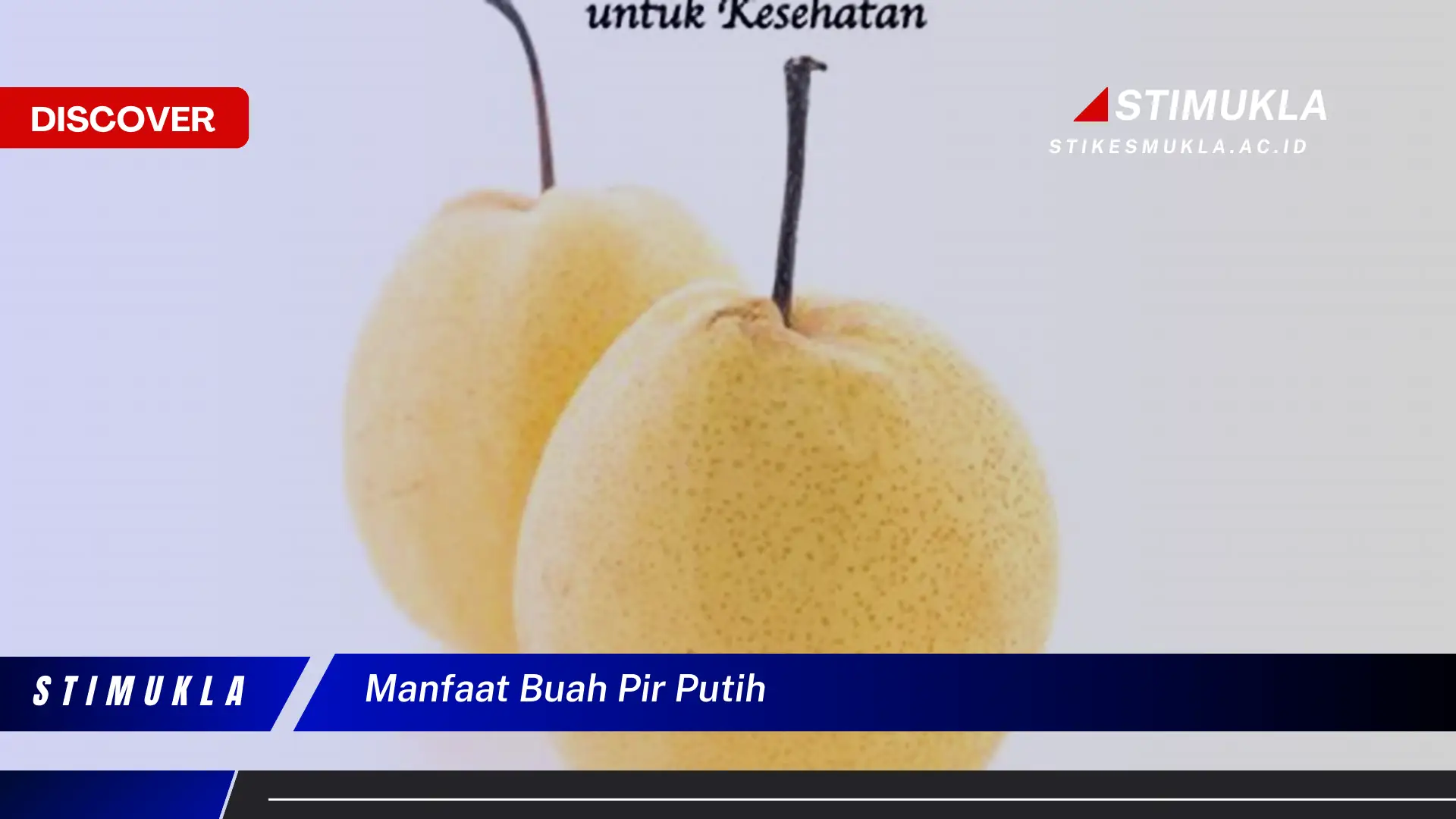 manfaat buah pir putih