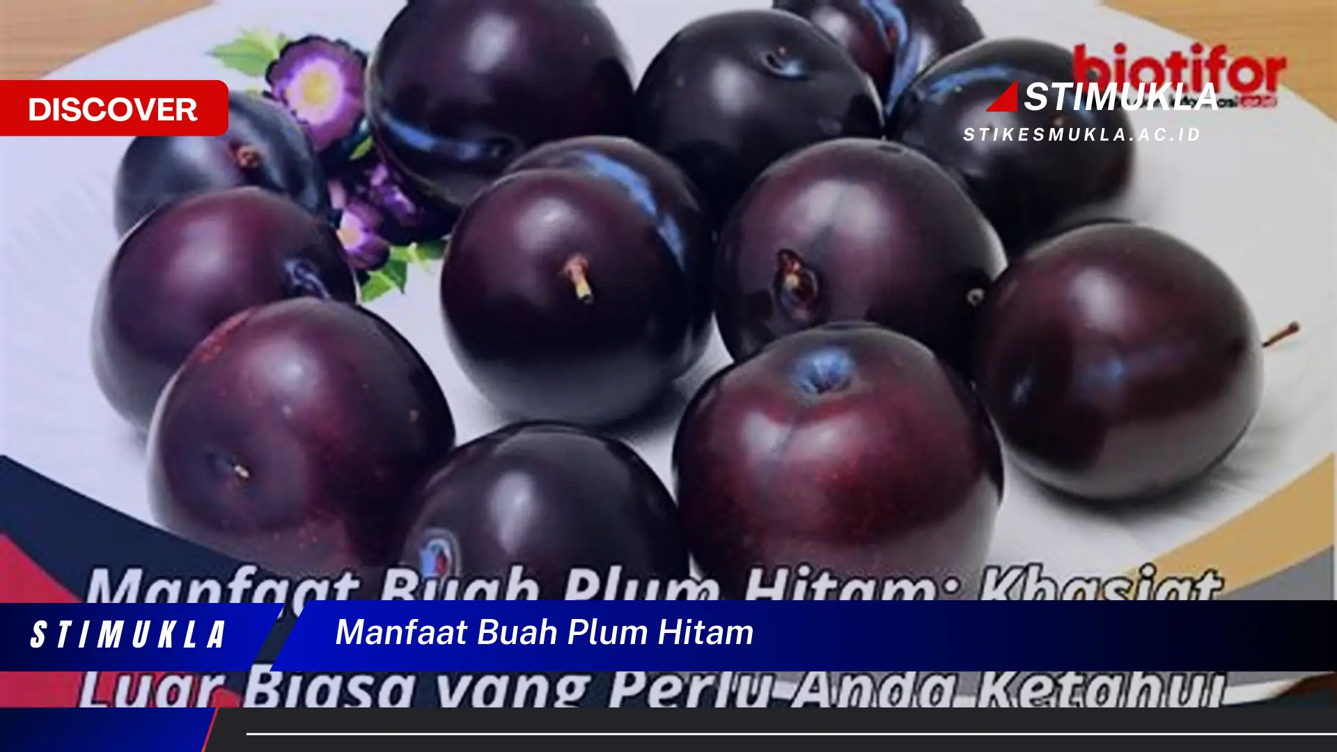 manfaat buah plum hitam