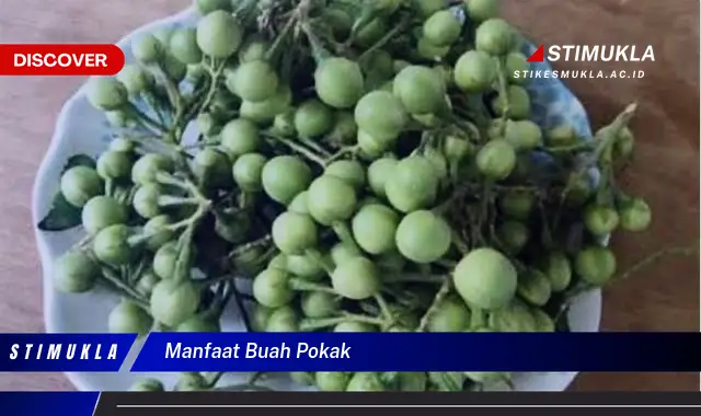 Bukan cuma buah pepaya, ini dia 10 manfaat buah pokak yang bikin penasaran