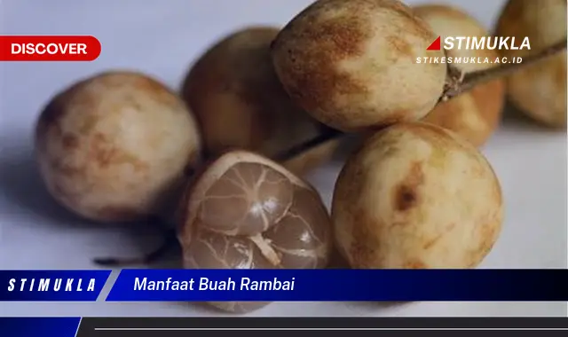 manfaat buah rambai