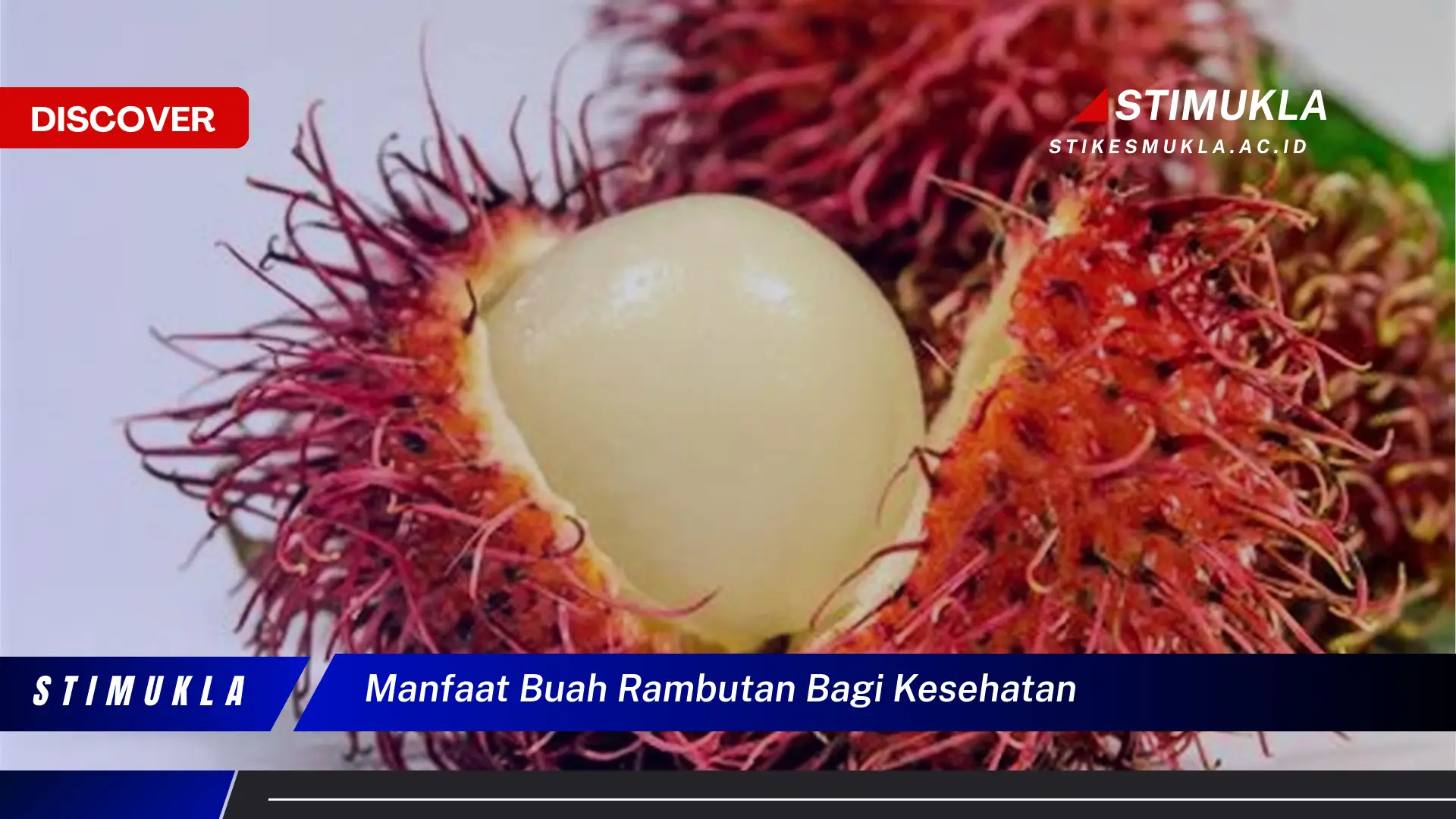 manfaat buah rambutan bagi kesehatan