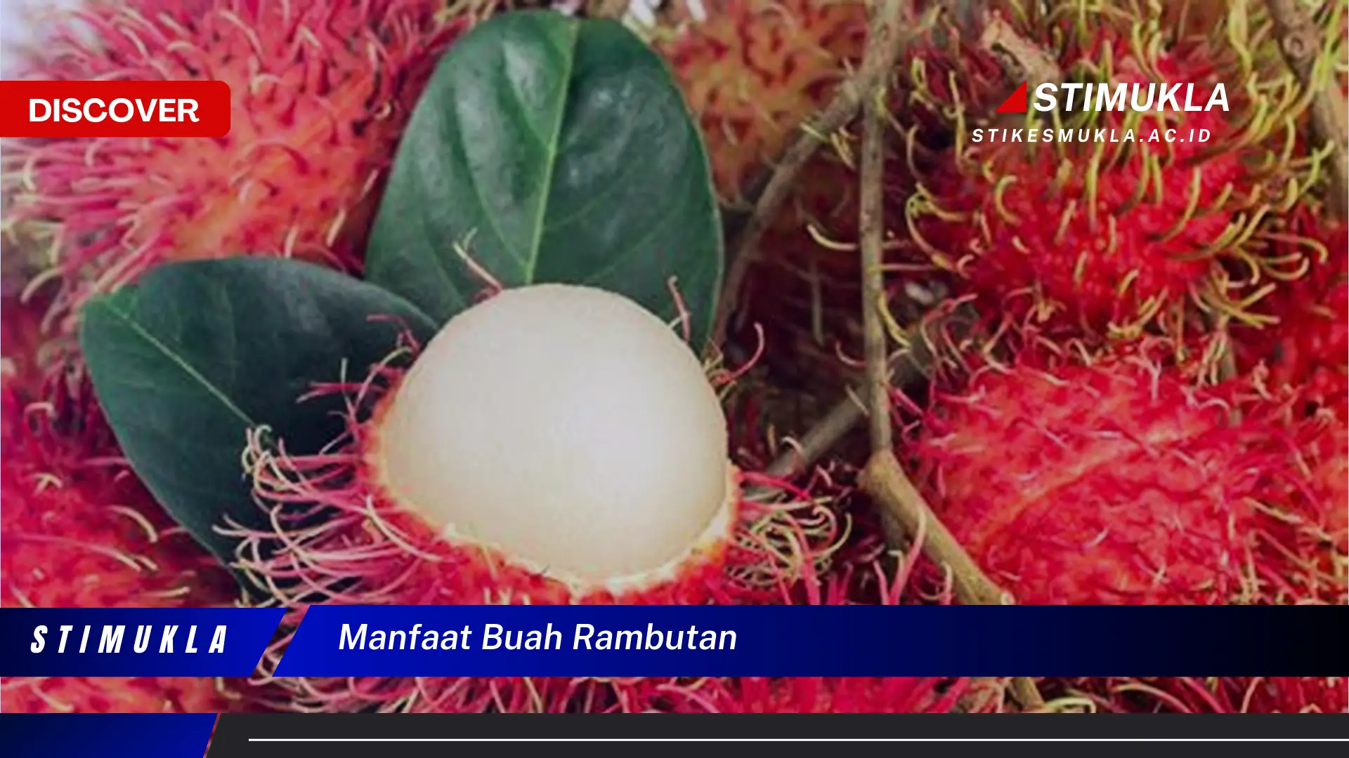 manfaat buah rambutan