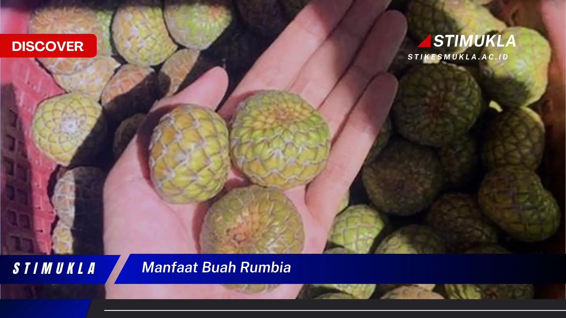 manfaat buah rumbia