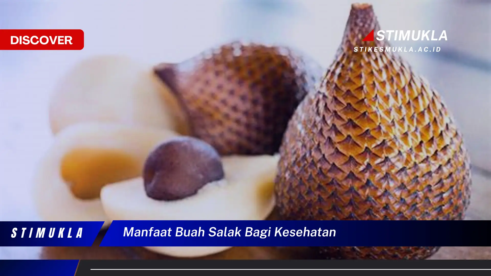manfaat buah salak bagi kesehatan