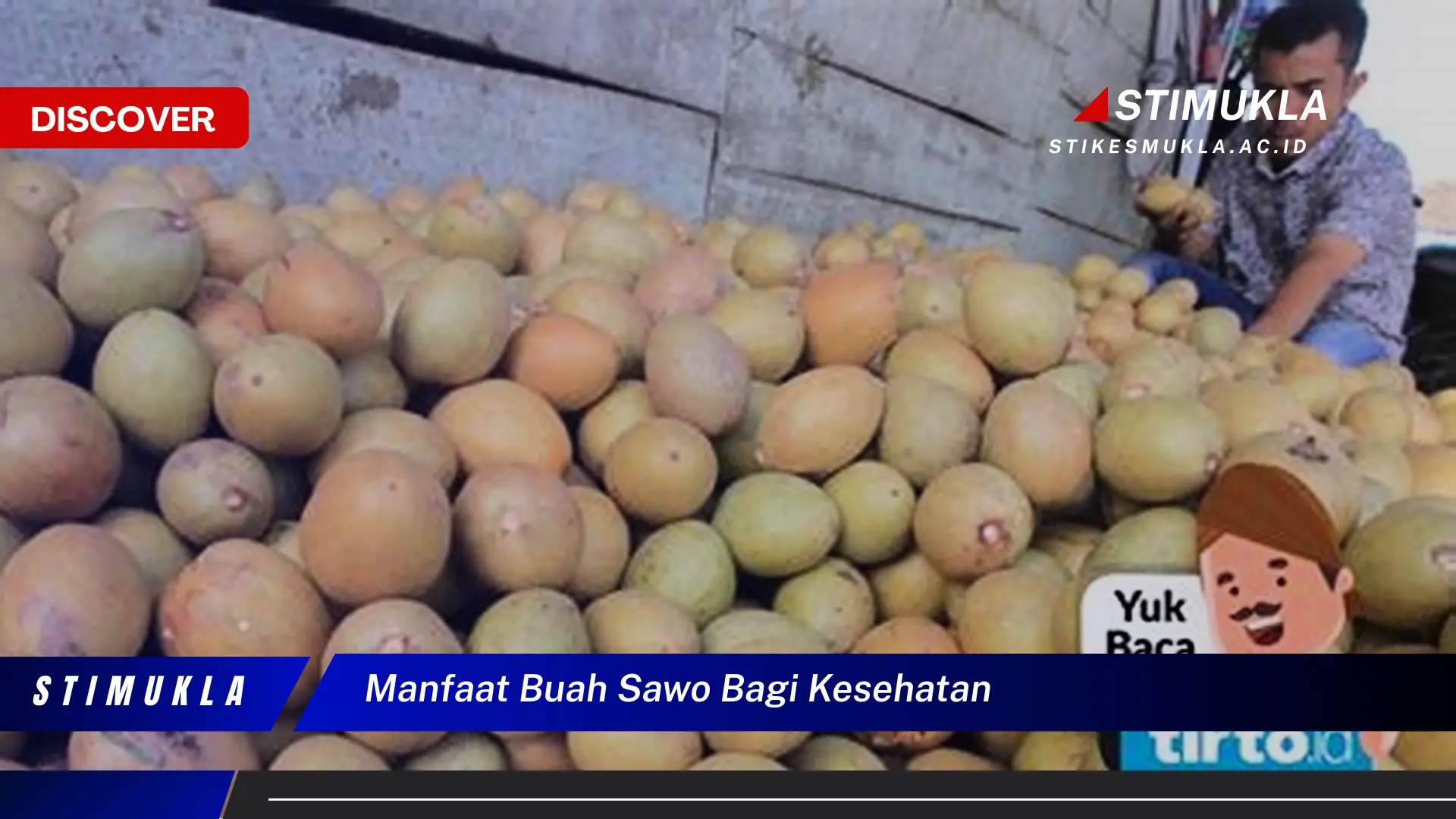 manfaat buah sawo bagi kesehatan
