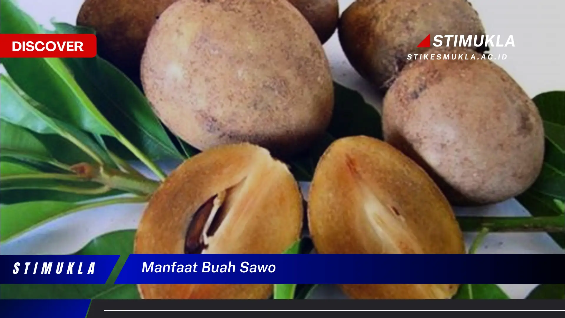 manfaat buah sawo