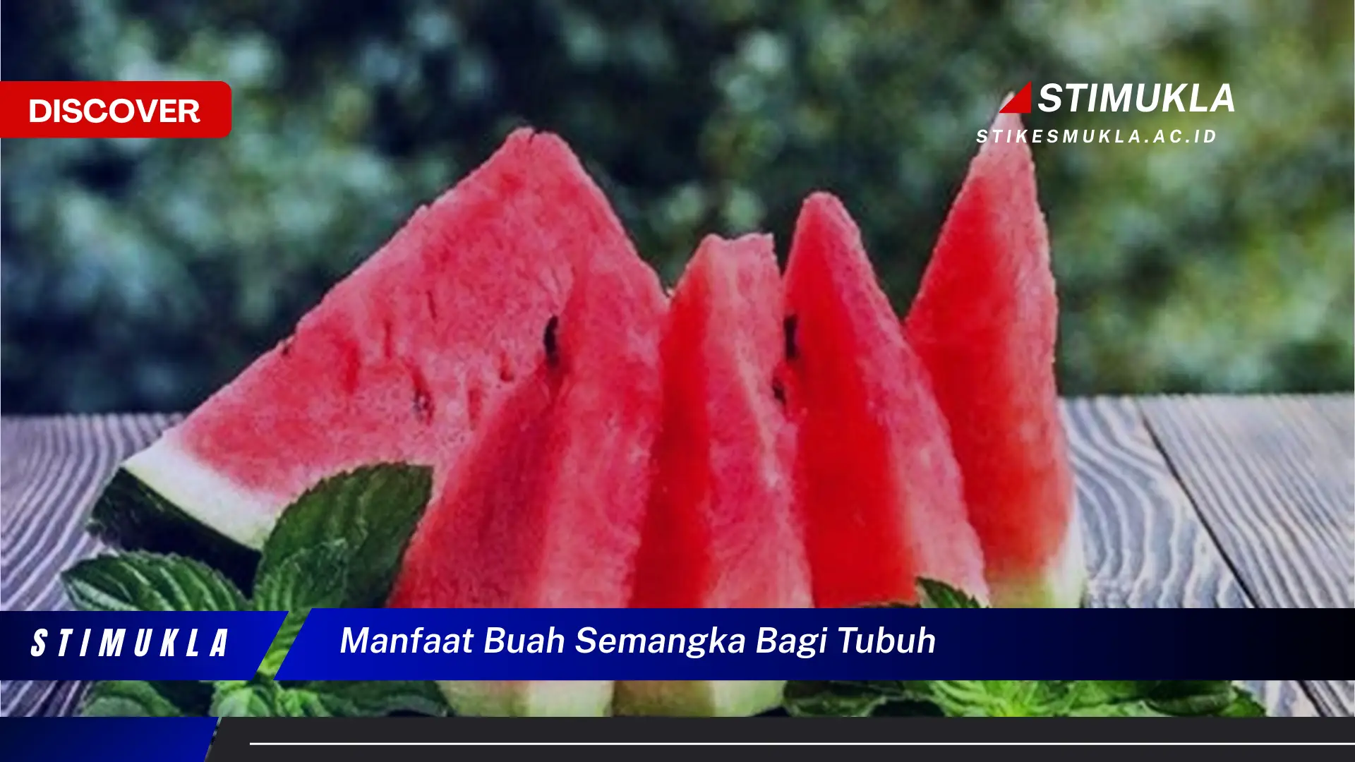 manfaat buah semangka bagi tubuh