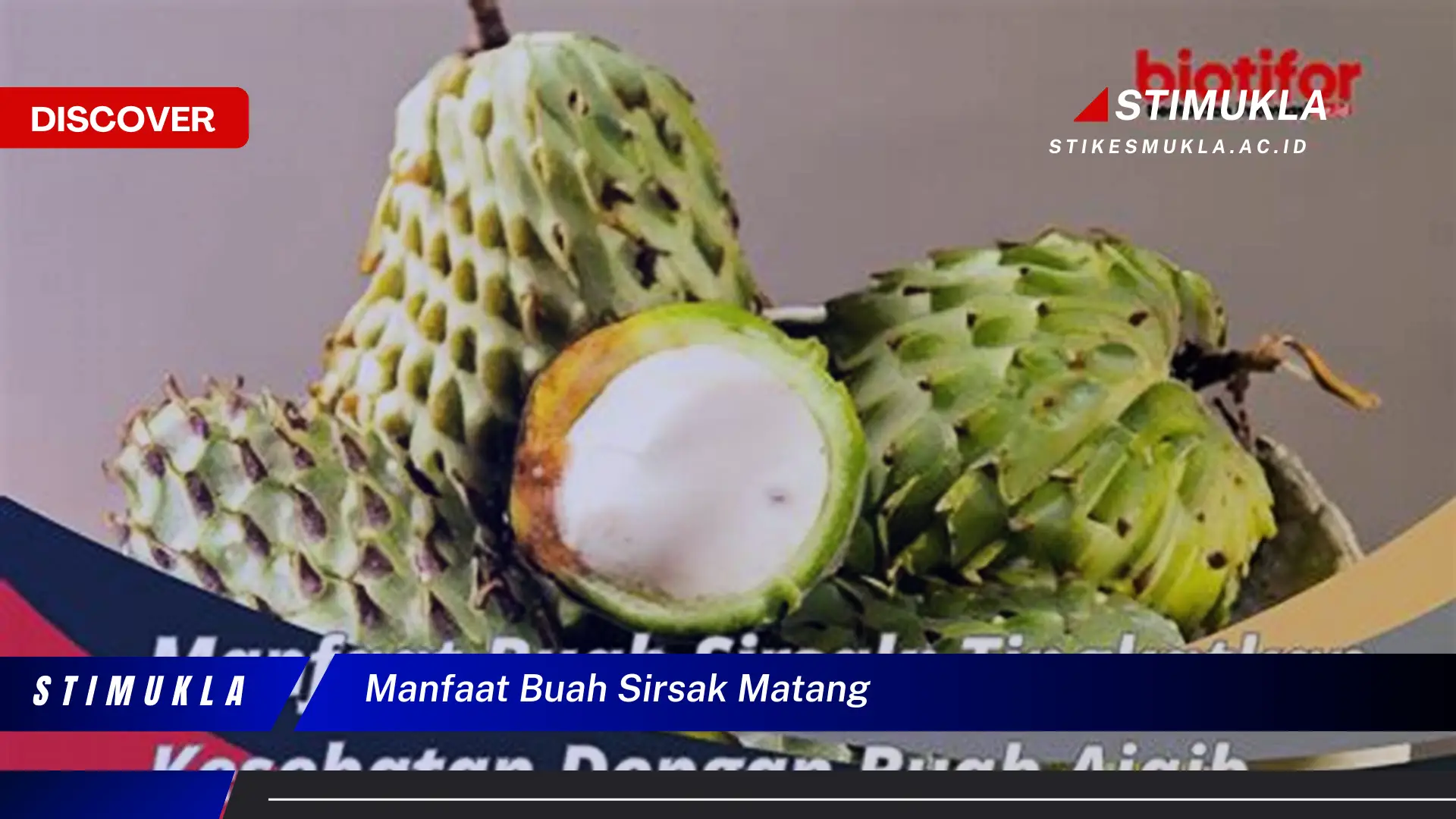 manfaat buah sirsak matang