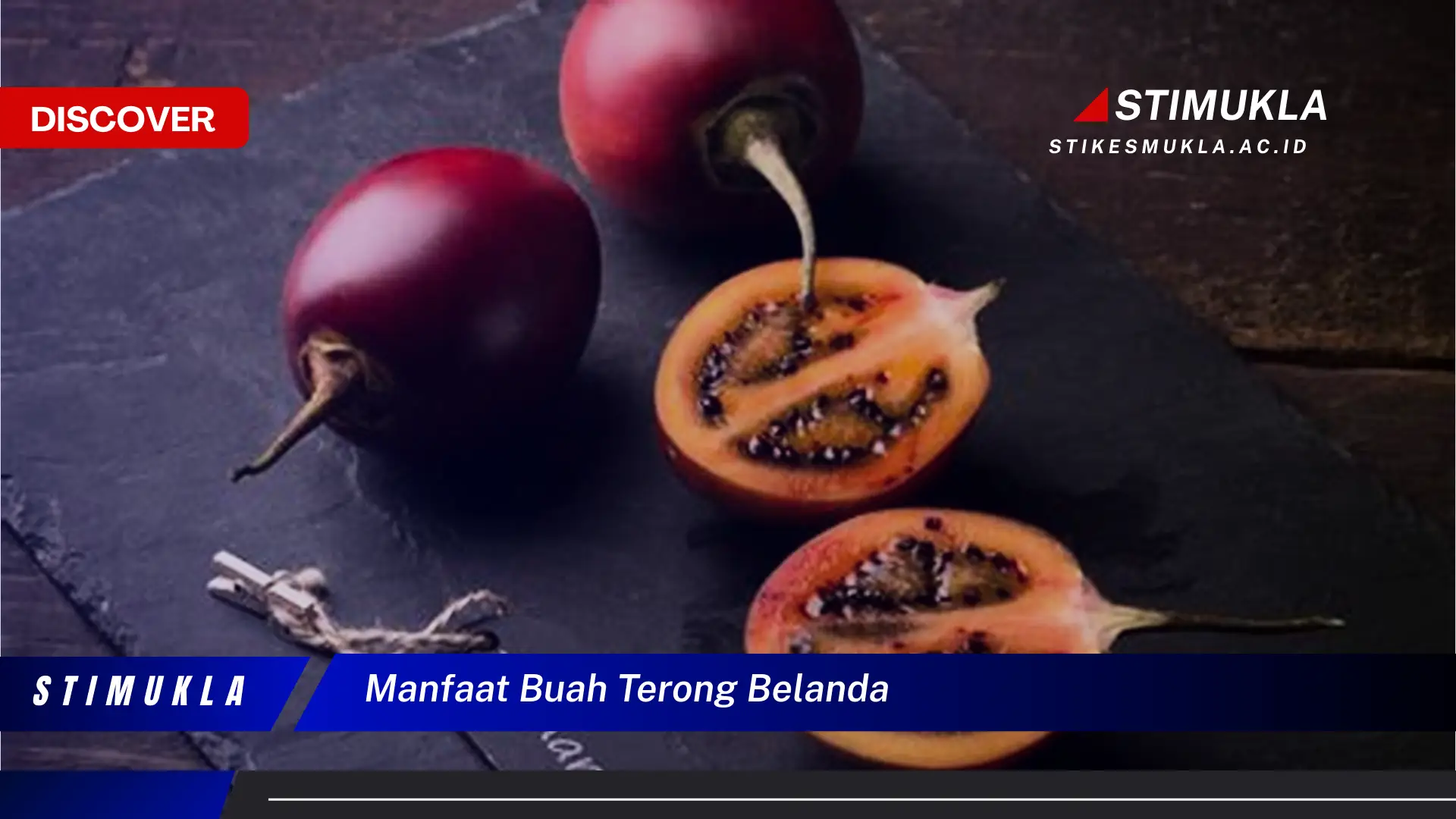 manfaat buah terong belanda