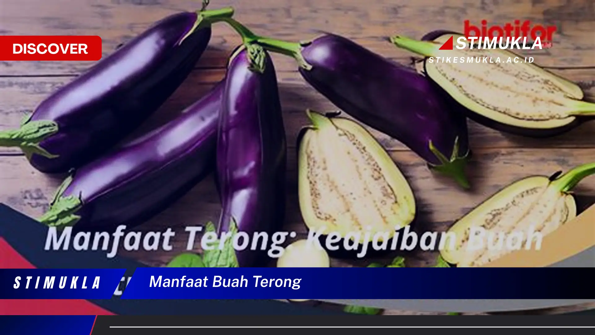 manfaat buah terong manfaat buah terong