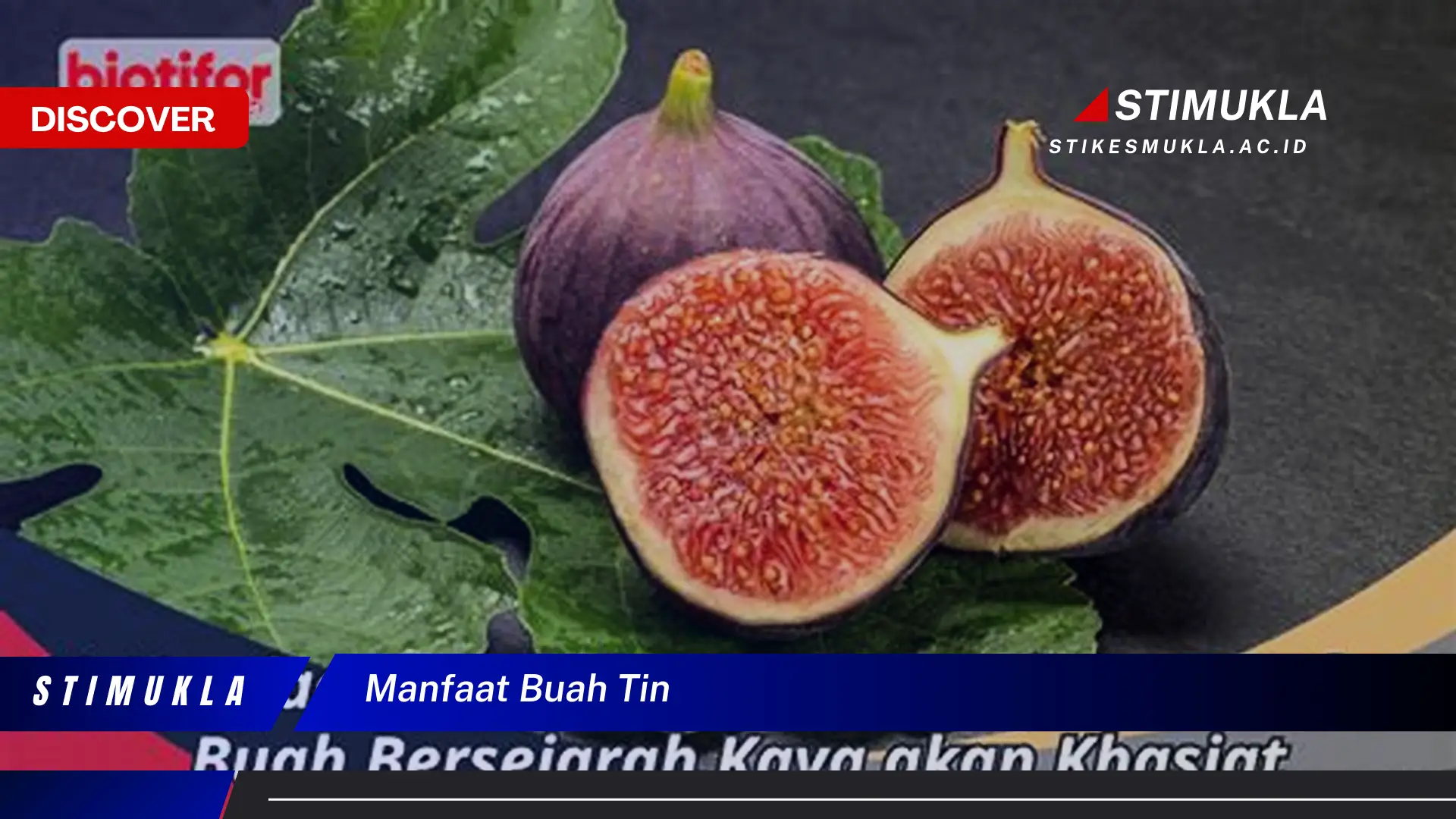 manfaat buah tin