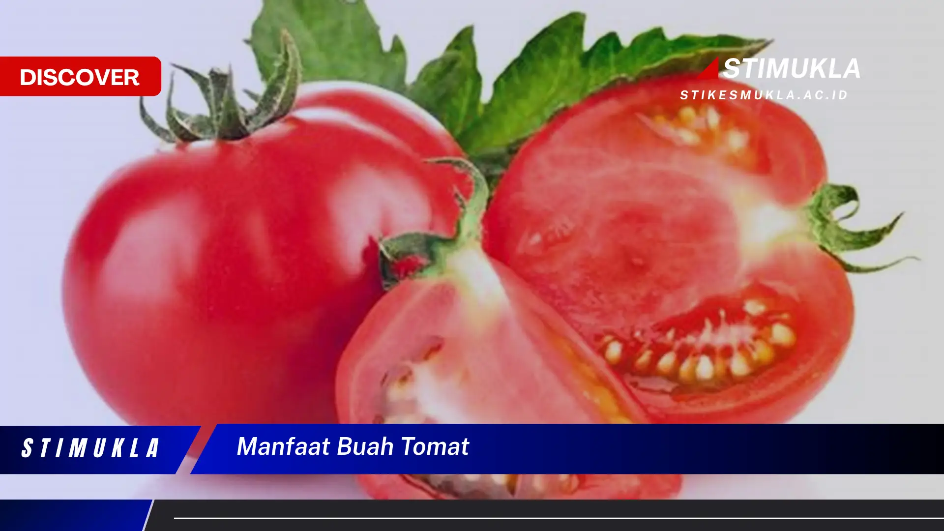 manfaat buah tomat