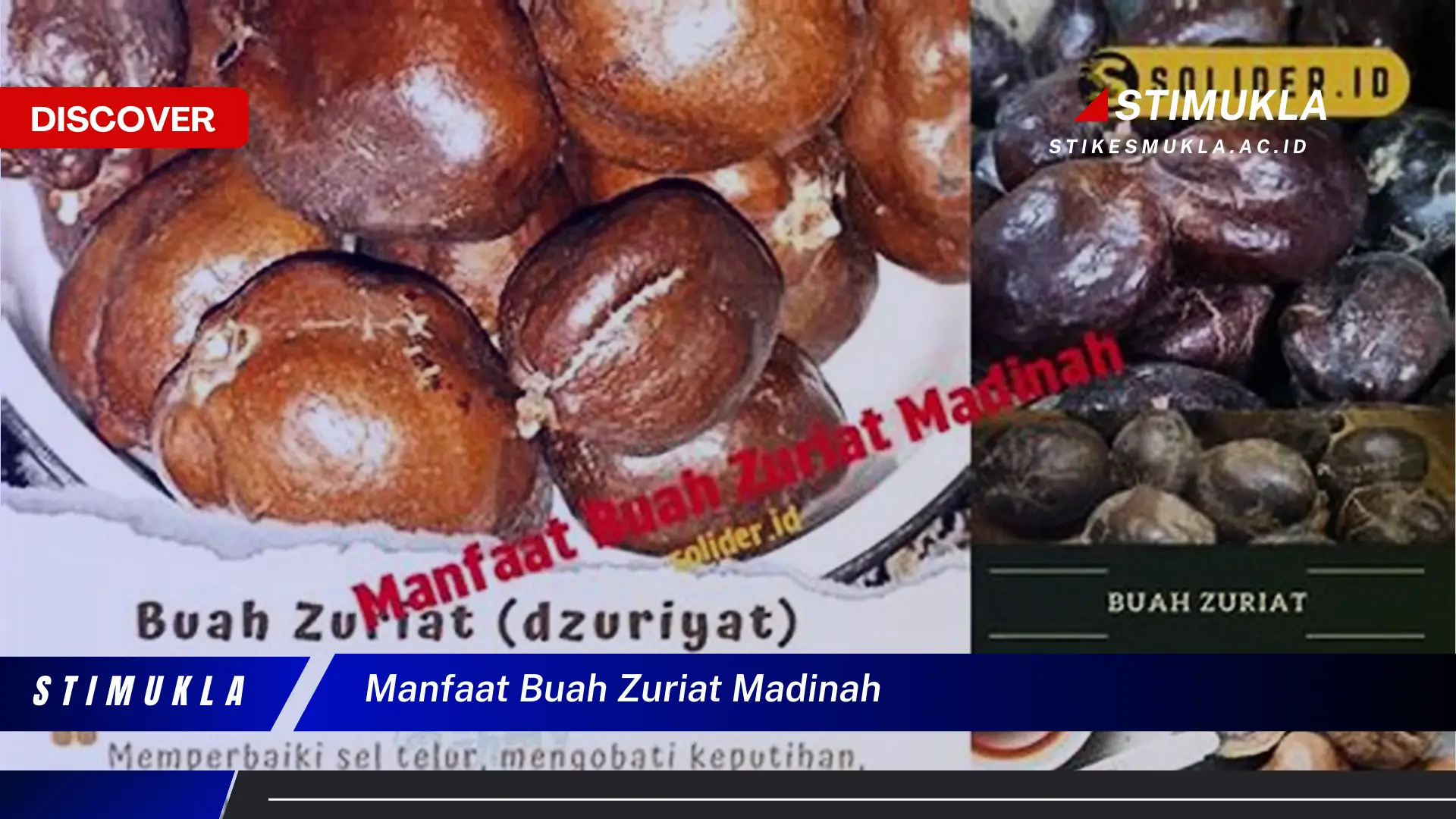 manfaat buah zuriat madinah