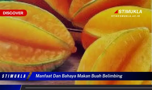 manfaat dan bahaya makan buah belimbing