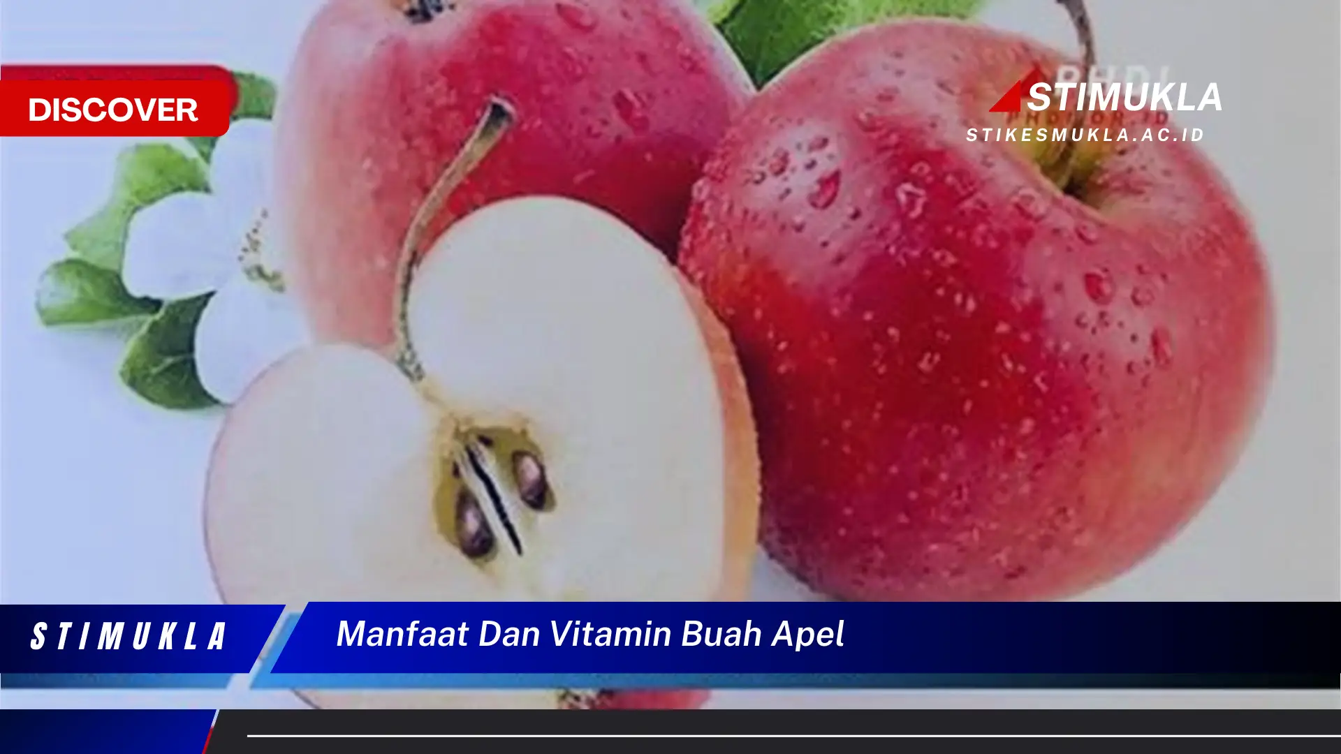 manfaat dan vitamin buah apel