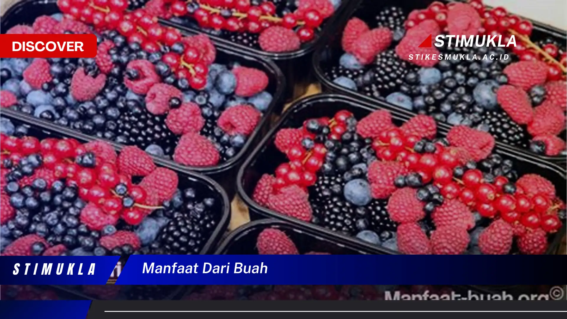 manfaat dari buah
