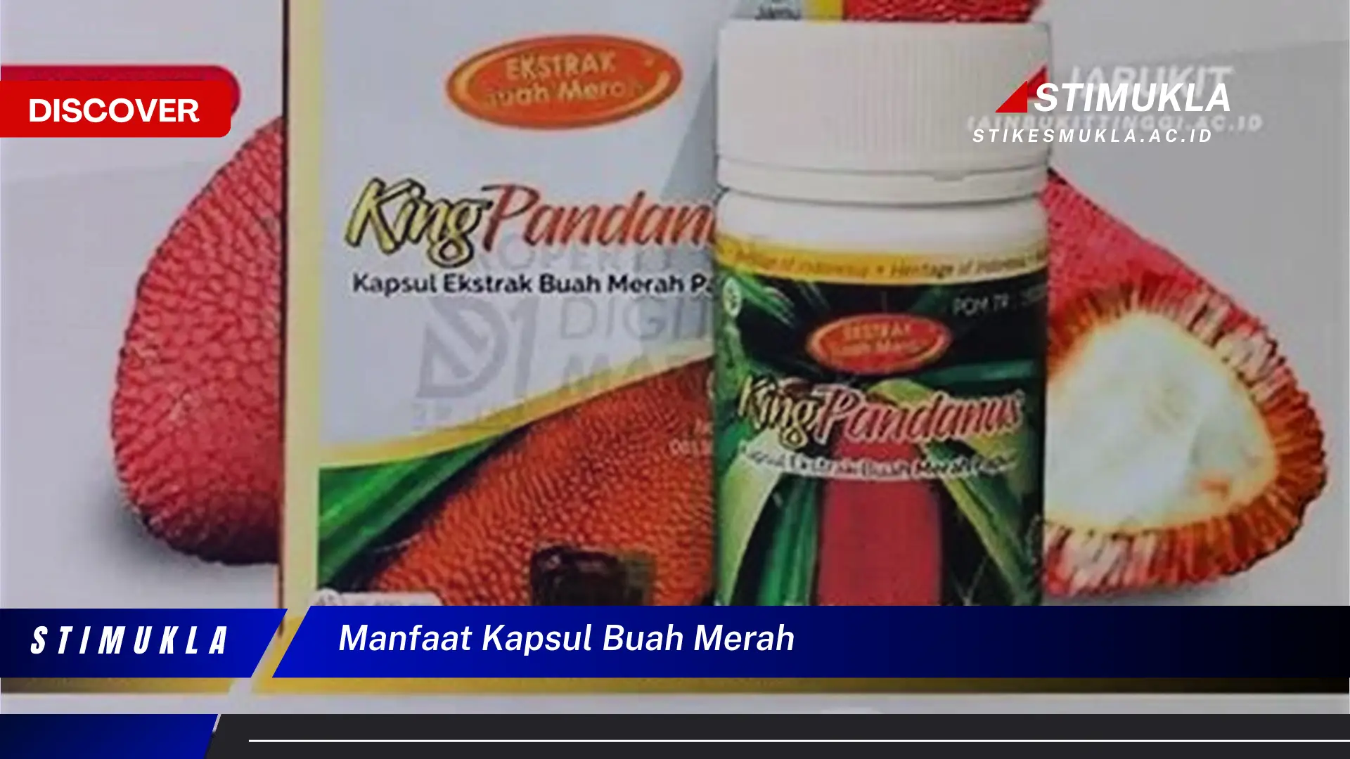 manfaat kapsul buah merah