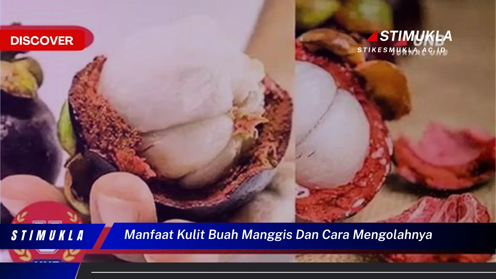 manfaat kulit buah manggis dan cara mengolahnya