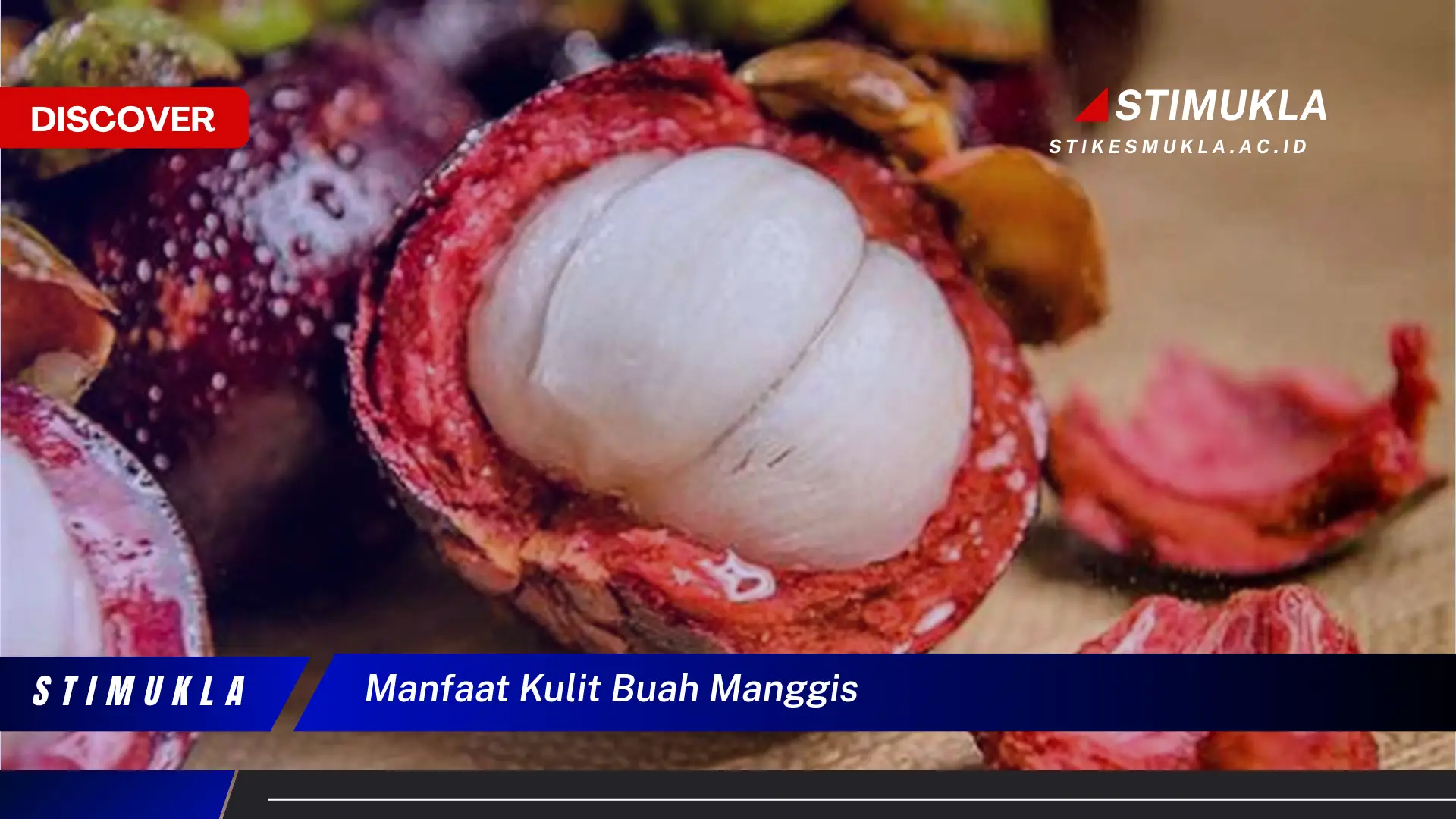 manfaat kulit buah manggis manfaat kulit buah manggis