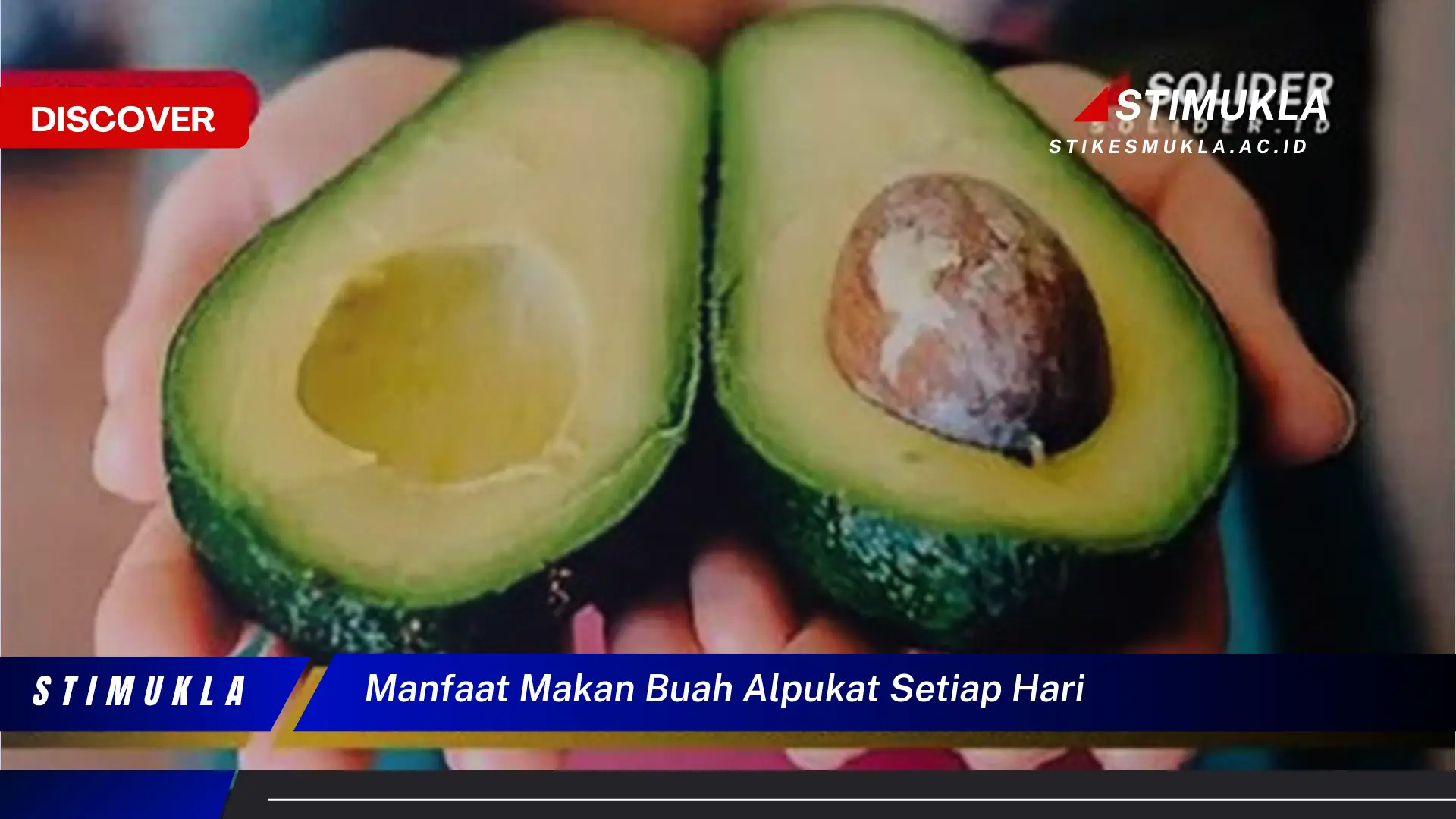 manfaat makan buah alpukat setiap hari