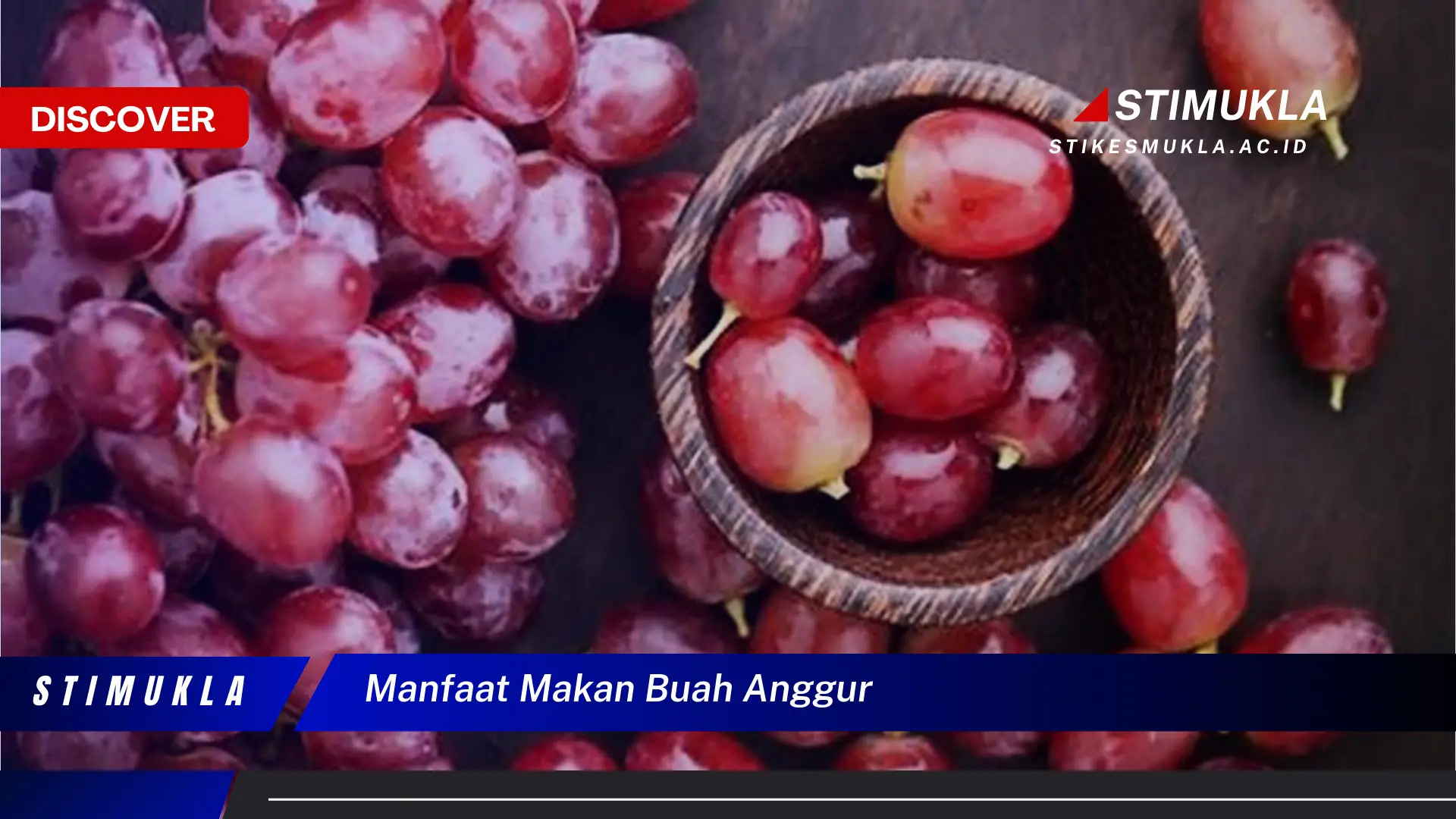 manfaat makan buah anggur manfaat makan buah anggur