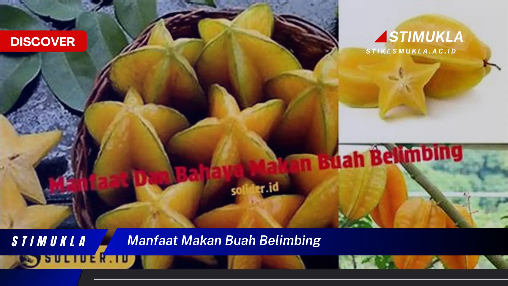 manfaat makan buah belimbing