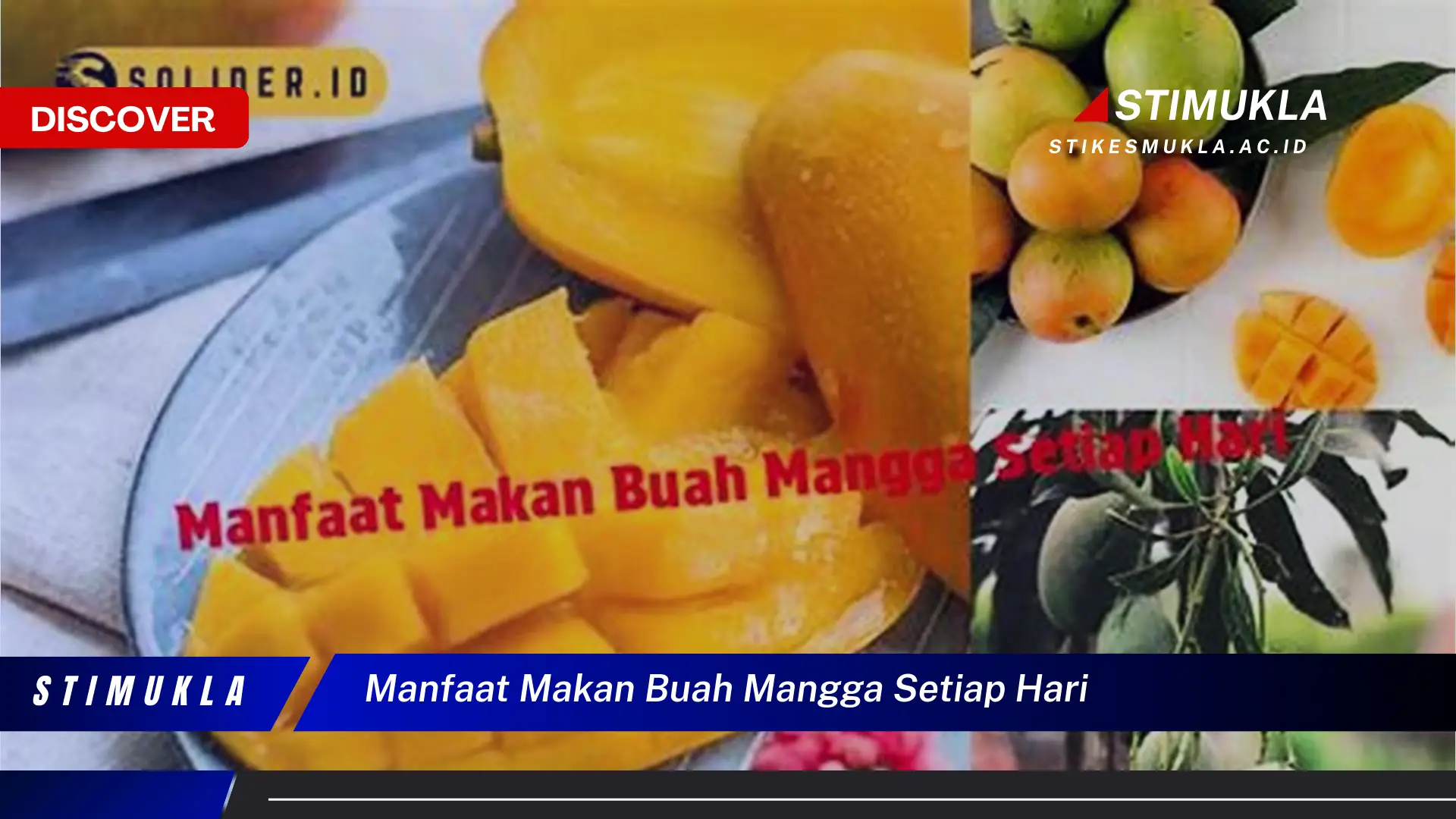 manfaat makan buah mangga setiap hari