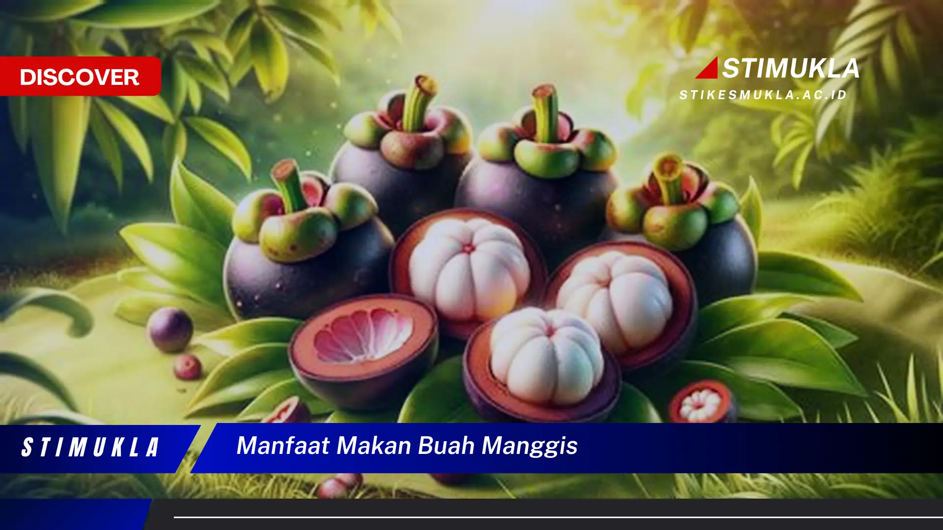 manfaat makan buah manggis