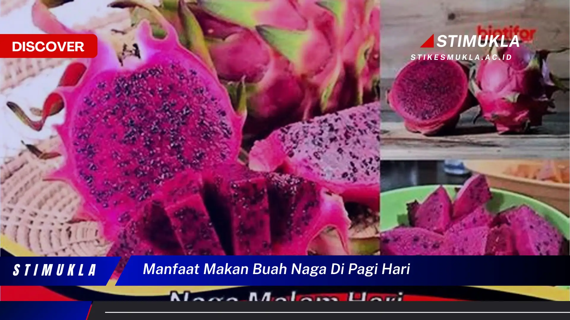 manfaat makan buah naga di pagi hari