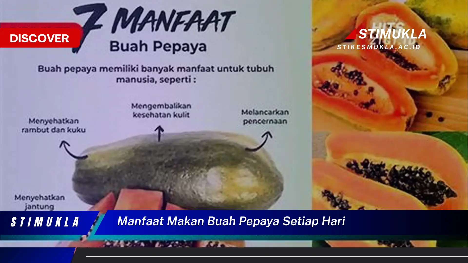 manfaat makan buah pepaya setiap hari