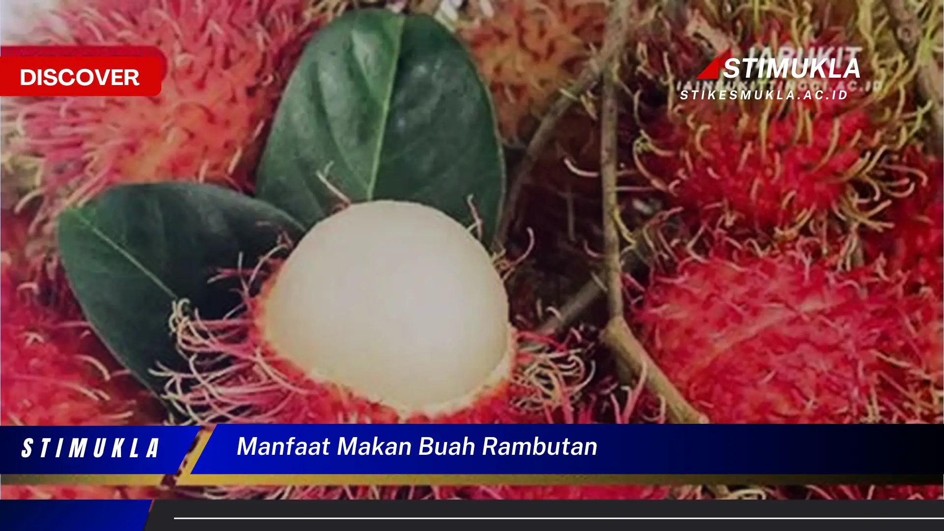 manfaat makan buah rambutan