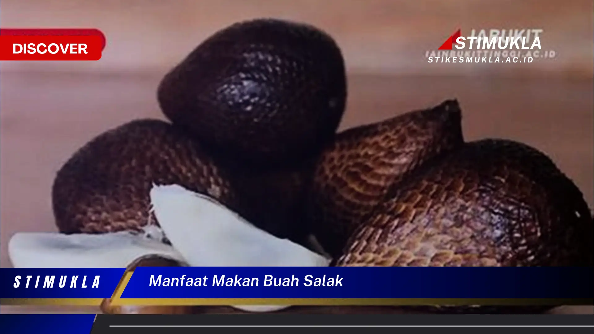 manfaat makan buah salak