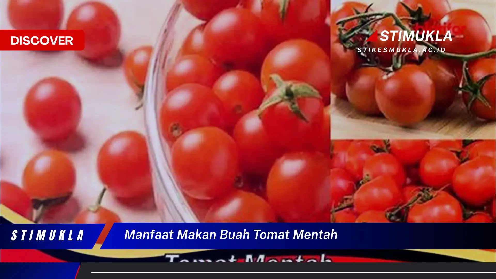 manfaat makan buah tomat mentah