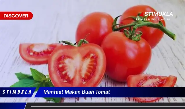 manfaat makan buah tomat