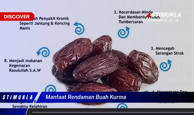 manfaat rendaman buah kurma