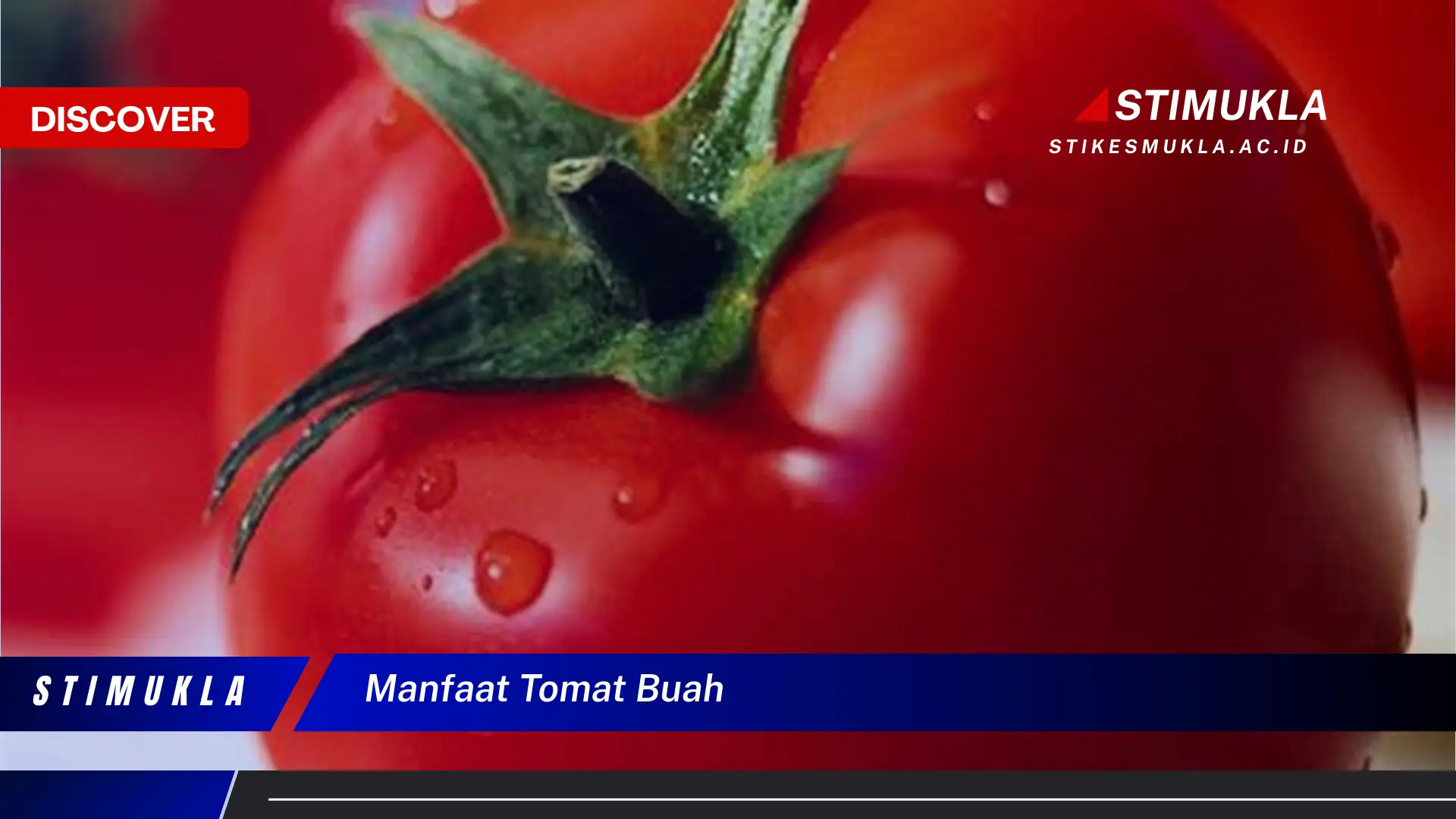 manfaat tomat buah